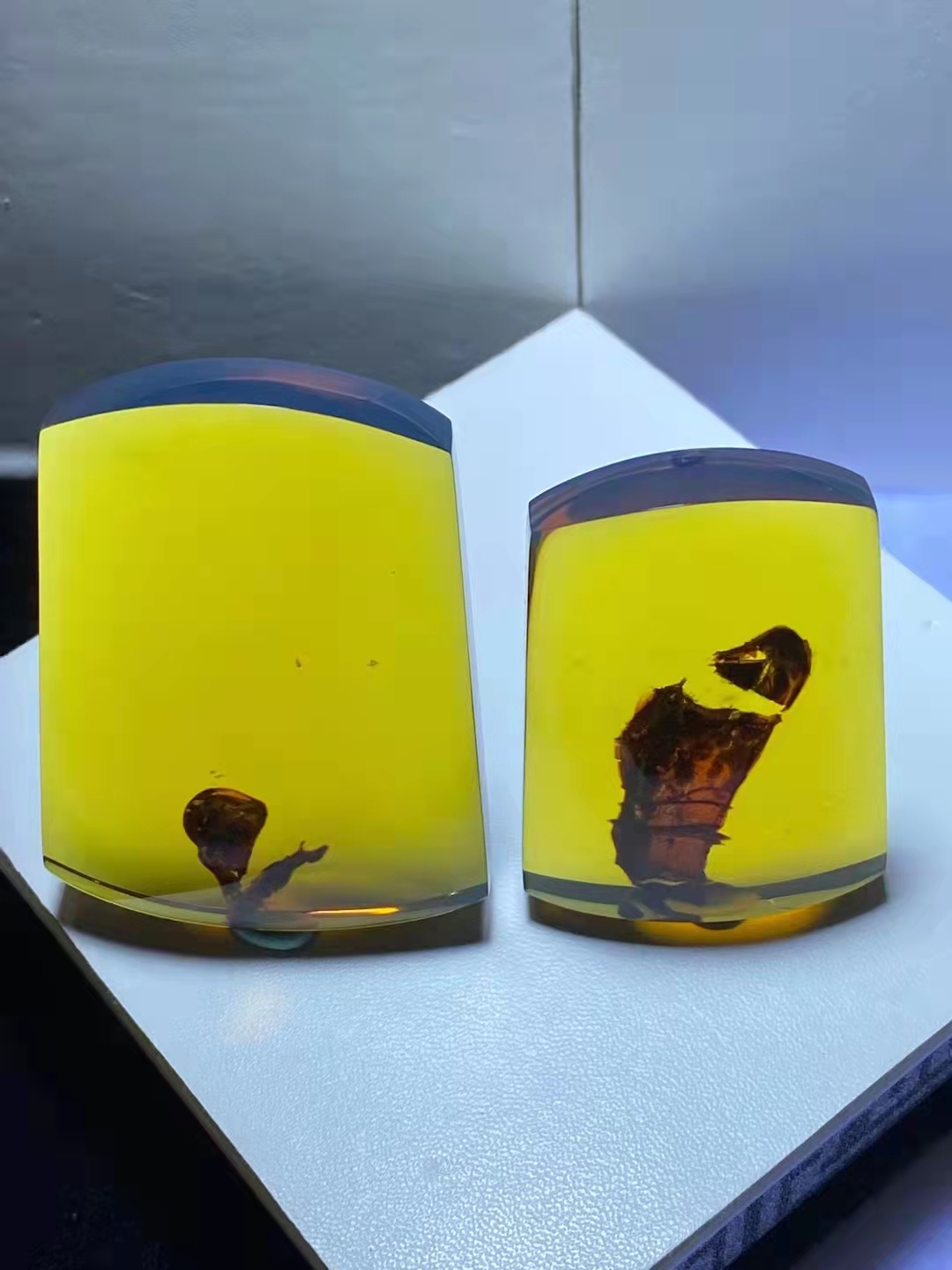 中药|琥珀是中药,但你不能咬着吃啊!!!