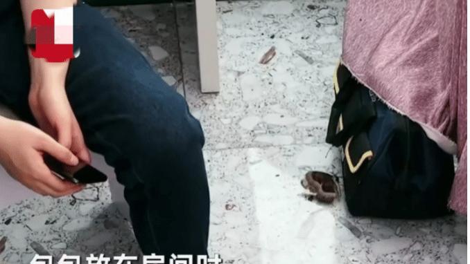 近日，安徽，28岁男子因心梗离世，妻子悲痛欲绝