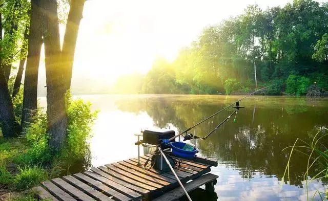 月亮|雨后、早起、夜钓就会钓好鱼?只有正确的选择时机才是爆护的前提