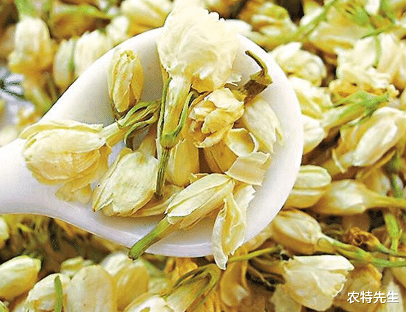 6月炎热易上火,推荐多喝5款“应季茶”,清凉解腻,饭后来一杯