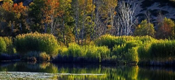专升本|专科生只要足够努力，同样可以在高手如云的职场成为佼佼者