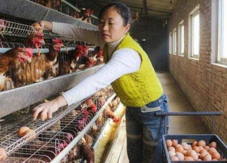 马云|马云再出“新预言”,暴利时代将要来了,这一行业比房子更有前途