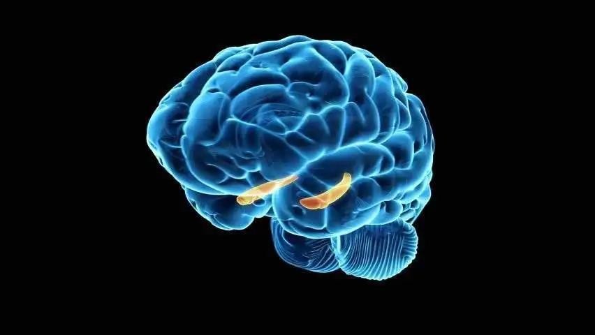 脑科学家发现,要提高孩子的记忆力并不难,每天坚持做2件小事