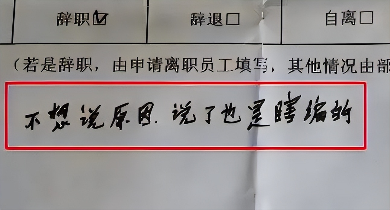 00后|我管你同意不同意，毕业生“傲娇”辞职信走红，就连理由都懒得编