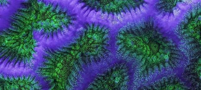 北极冻土层又发现远古活体生物,至少2.4万年,意味着什么?