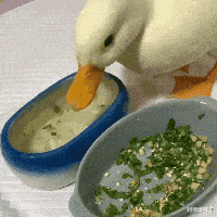 |“钓鱼钓出来个破石头，看起来很值钱”还是放回去心里踏实点！