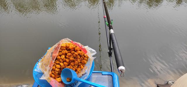 饵料|为啥你用玉米钓不到鱼?避开这几个误区,大鱼拉到手软