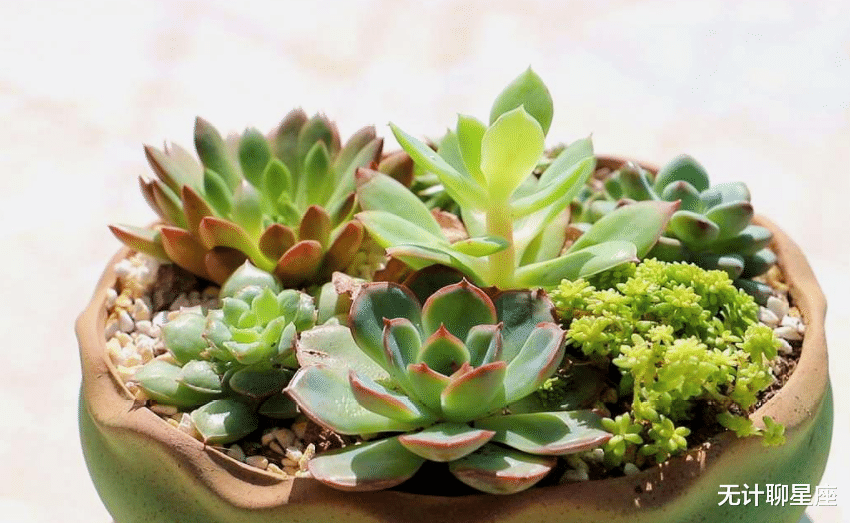 最佳女婿|明年，4个星座，勇于冒险，职场上会大展拳脚，步步高升