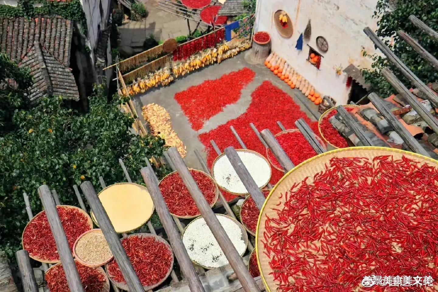 美丽|婺源晒秋，美不胜收