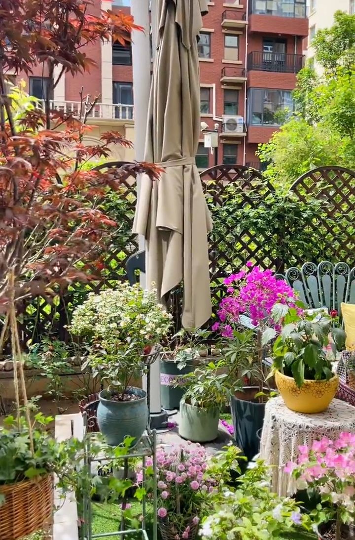 武汉|不顾反对,买了一楼带院子,当看到我的小花园后,他们只剩羡慕了