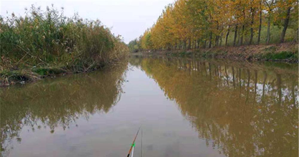 |晚秋野钓，2不选2不钓，天气变冷，钓鱼技巧跟着变