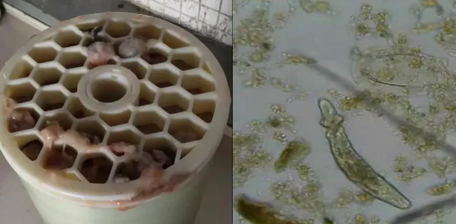 反渗透膜的生物污染你了解吗?