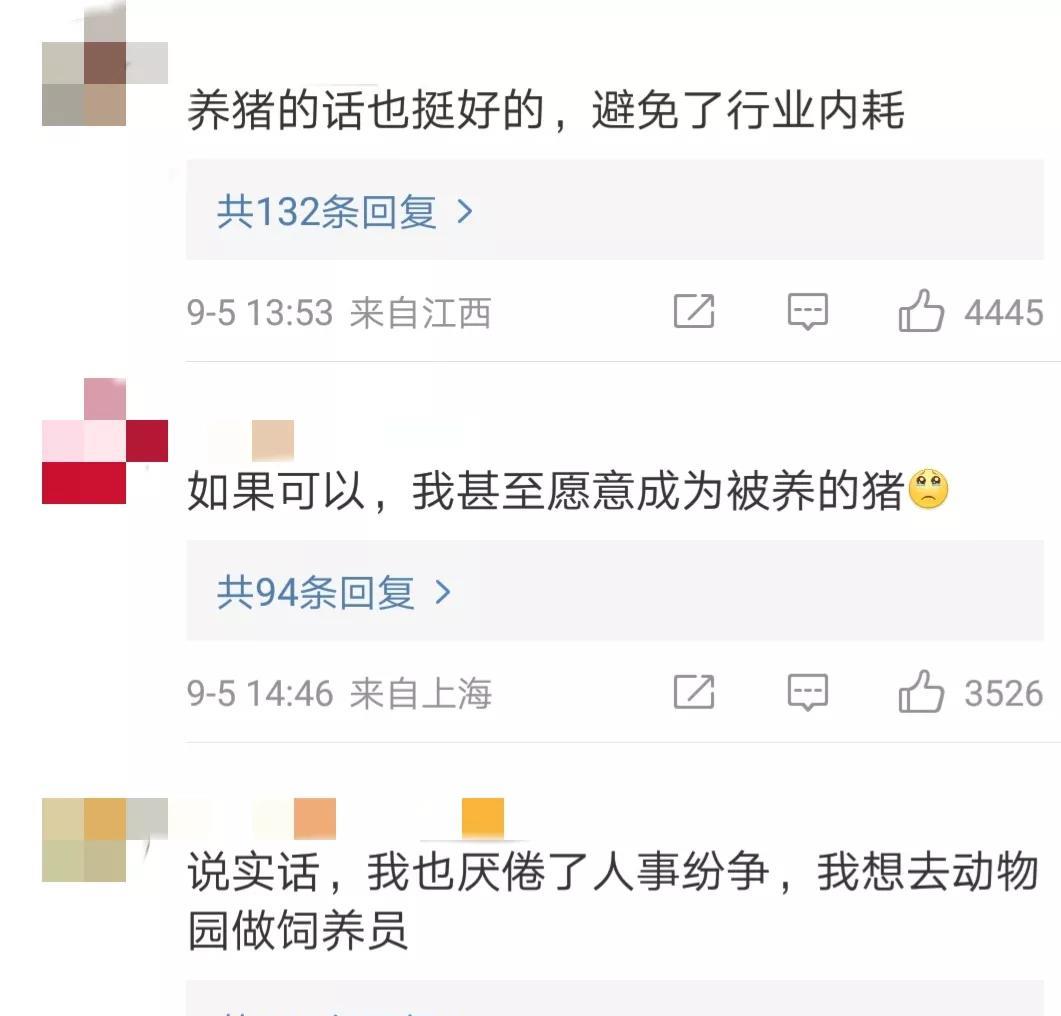 00后|“硕士生毕业后去养猪”引发热议,顿悟了当下年轻人最嚣张的法则