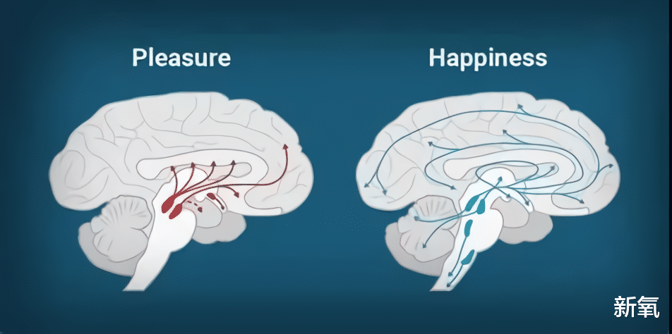 多巴胺|一吻翻红！朴敏英的《月水金火木土》甜疯了，一场吻戏直接鲨到