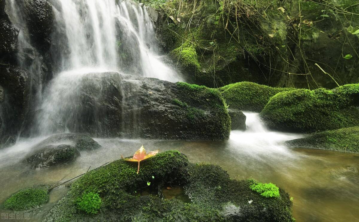荷花|郭进拴|故乡的抱玉河