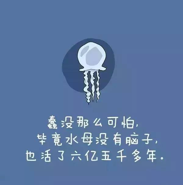 小飞侠熙熙 熬得住就会出众！
