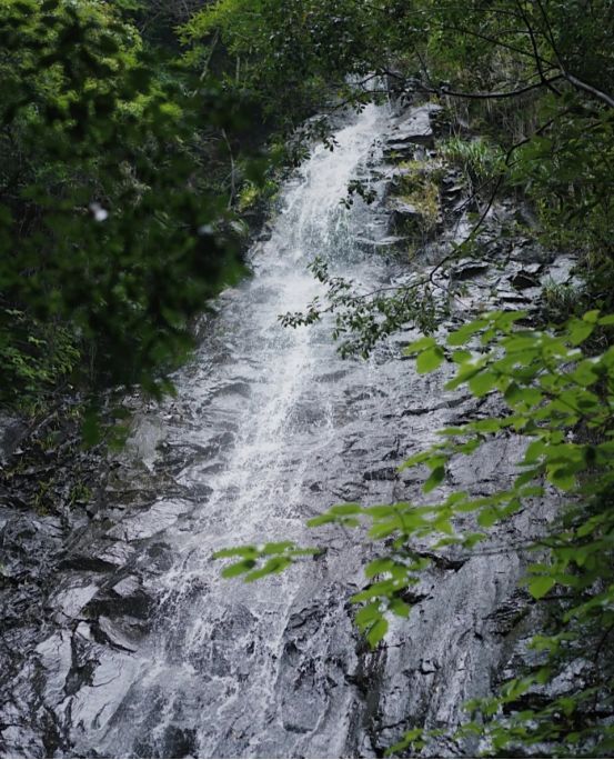 桂林|掉落人间仙境大余丫山，一山一水一花海，在天空之境眺云卷云舒！