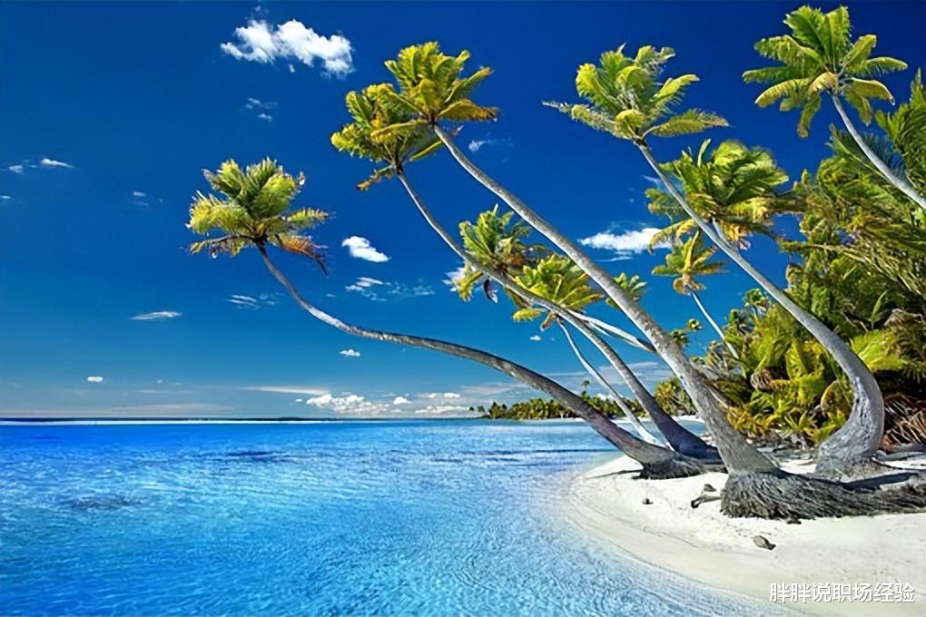 芝加哥|人在职场，工作压抑很正常，不用怕，四条法则帮你忙