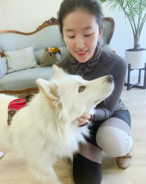 刘亦菲|刘亦菲早年择偶观:性格感觉胜过外表,称演技好了大家自然会看到