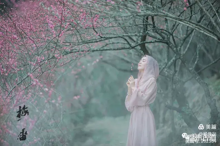 2022年跟着杨伟兴摄影师拍人像!