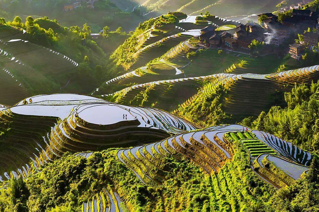 甘南|就没见过哪个过气网红,还能好看成这样的