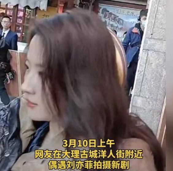 刘亦菲|刘亦菲高铁睡觉被拍,昂贵名牌包放一旁,差点儿被网友搭讪