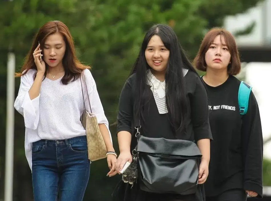 教师|“洋学历”或将不吃香了,教育部下发通知,不认可这类留学生文凭