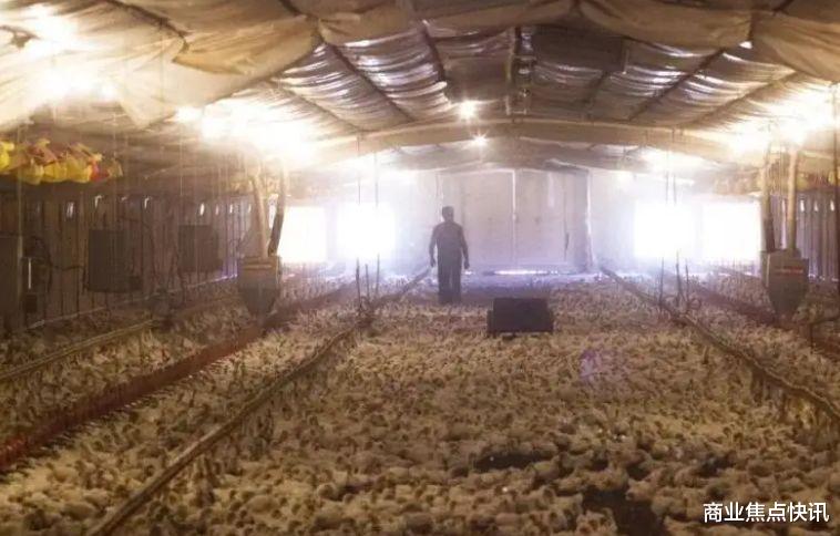 研究称人类食物或进入不依赖阳光时代