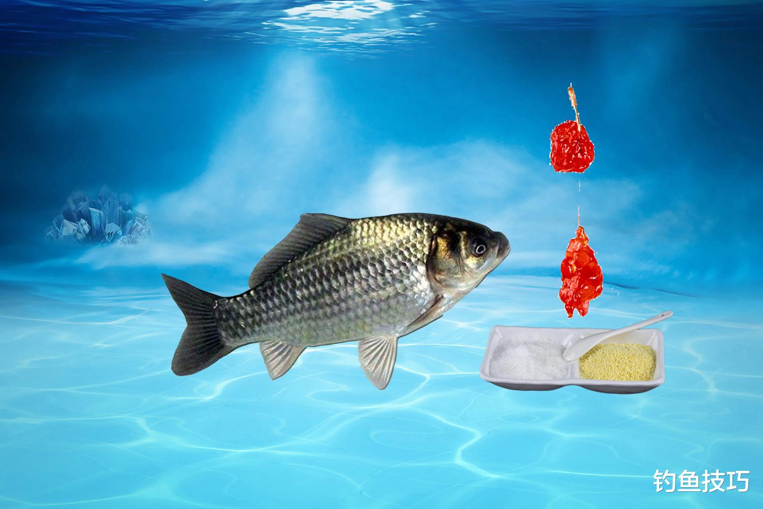 鲫鱼|鲫鱼吃味精？草鱼喝酸奶？鲤鱼爱吃糖？钓鱼用饵的顺口溜解析