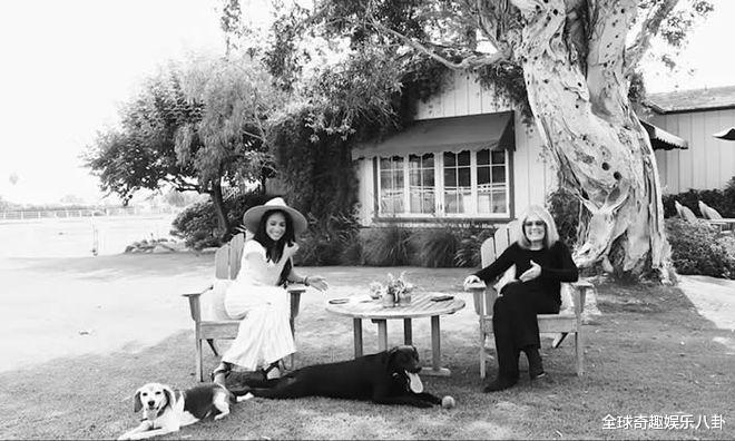 哈里王子|教人“活到老学到老”，哈里和梅根风格大变，新项目不骂王室