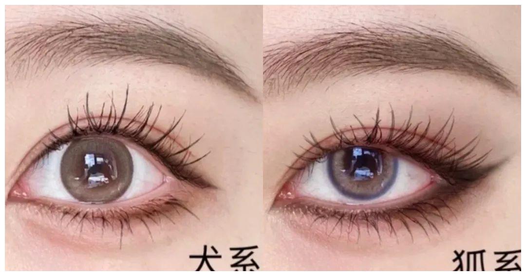 王心凌|“甜心教主”王心凌刚翻红不久,难道又要凉了?