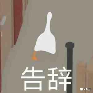 创1|还记得《创1》里的王晴吗？她还参加过素人恋综？