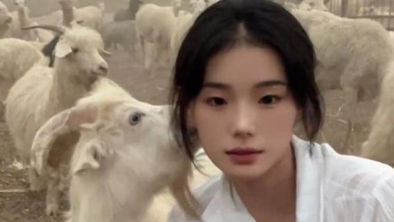 惠然|网红“灰太狼的羊”事件再反转？惠然晒证明材料，夫妻二人被利用
