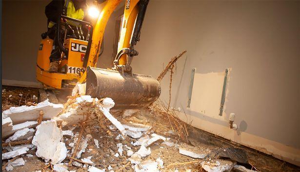 英国一屋主种了一排竹子,结果没想到,邻居欲哭无泪