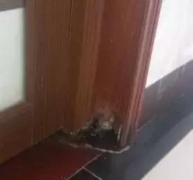 当年装修真自取其祸!犯下21个装修败笔!个个坑钱是小,毁房是大