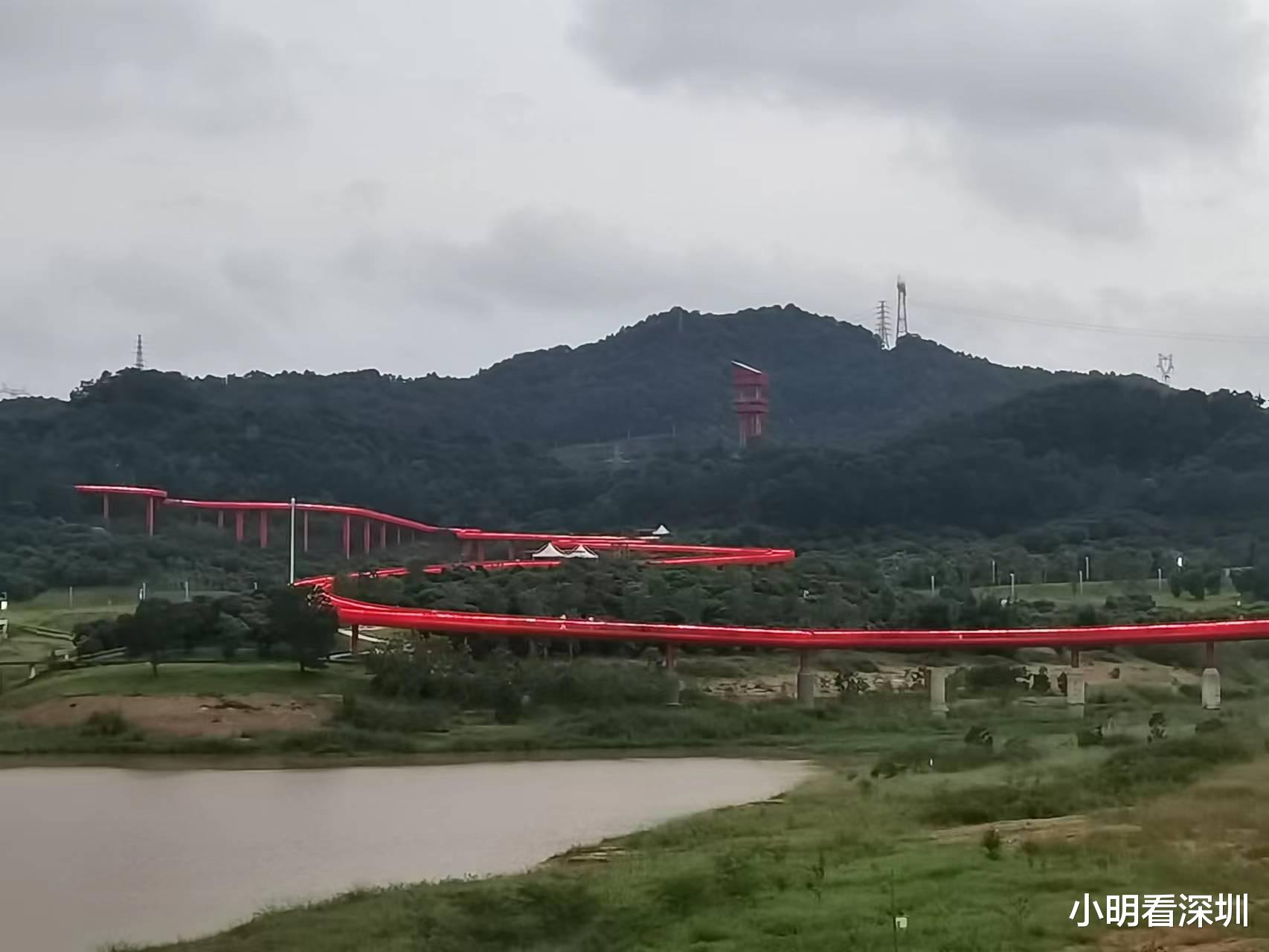 深圳市|来深圳要注意什么，一个深漂十年的人告诉你