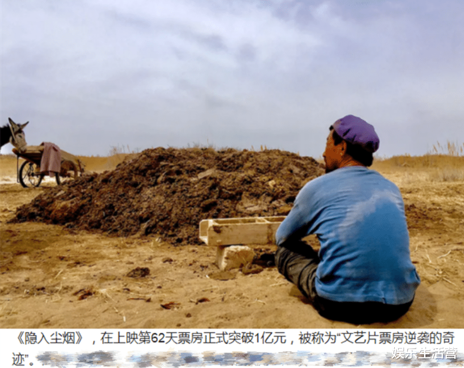 海清|《隐入尘烟》票房过亿,唯一明星海清零片酬,黄磊却是大功臣