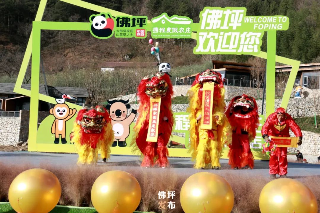 秦岭|全国首家“秦岭四宝”主题体验营地在佛坪投用运营