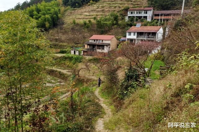 新农合|农村出现8大“人才”，涉及每个村，你们村不知道有没有哦？