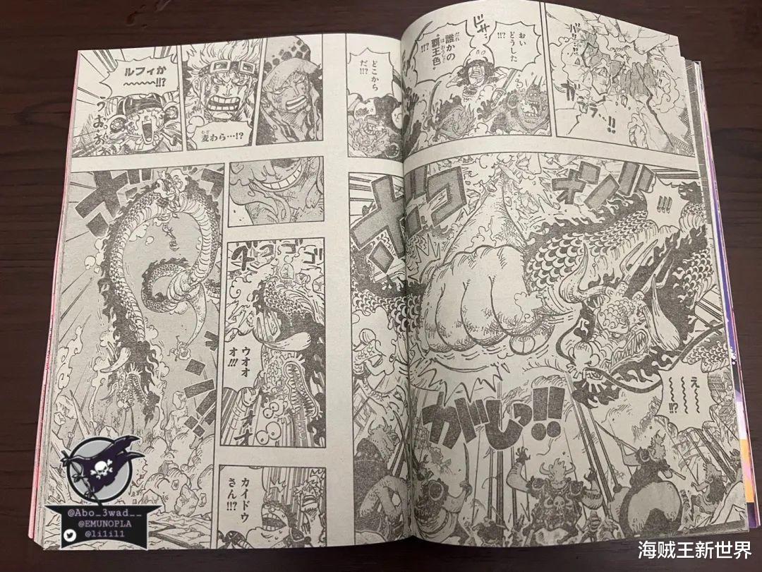 海贼王|海贼王1044话第二次情报更新|全图整理|觉醒的五档！橡胶果实是动物系人人果实幻兽种你能否接受？