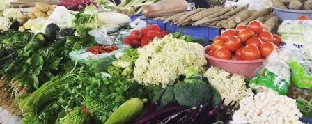 呼和浩特有人卖高价菜月入40万,经查系虚假消息