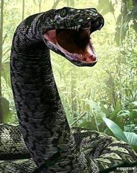 Զս1ֶص̩̹˽Ůߣ