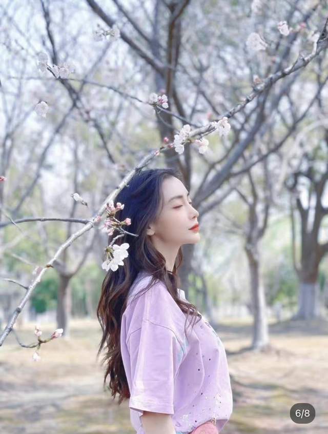 Angelababy|Angelababy晒春日樱花随拍,网友评论:人比花美