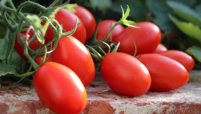 癌细胞|癌症的“天敌”被找到，早晚吃点，癌细胞或“自行消失”