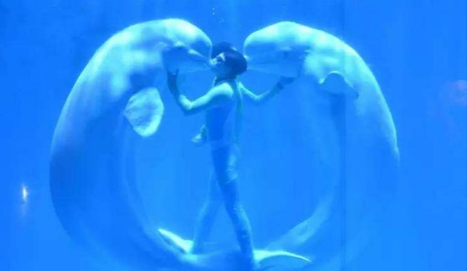 |哈尔滨必游七大景点排名，中央大街排第一名