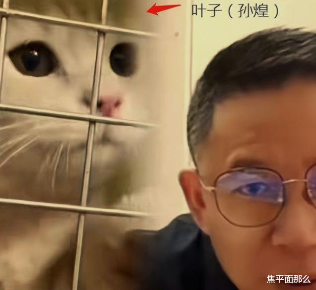 汤怡|孙卓一家五口登山赏月后,家里又添新成员,“孙煌”来历很可爱