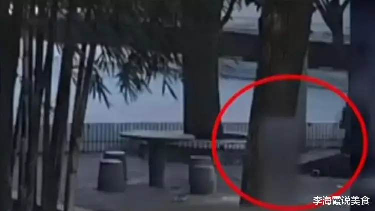 太可怕了!10岁孙子将奶奶活活勒死,旁边的同伴边笑边淡定拍视频
