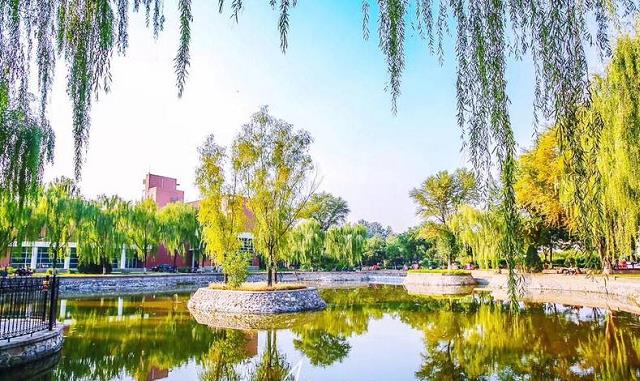 云南|建校时间咋成了“说不清楚”？莫将校庆混同于系庆、科庆、室庆！