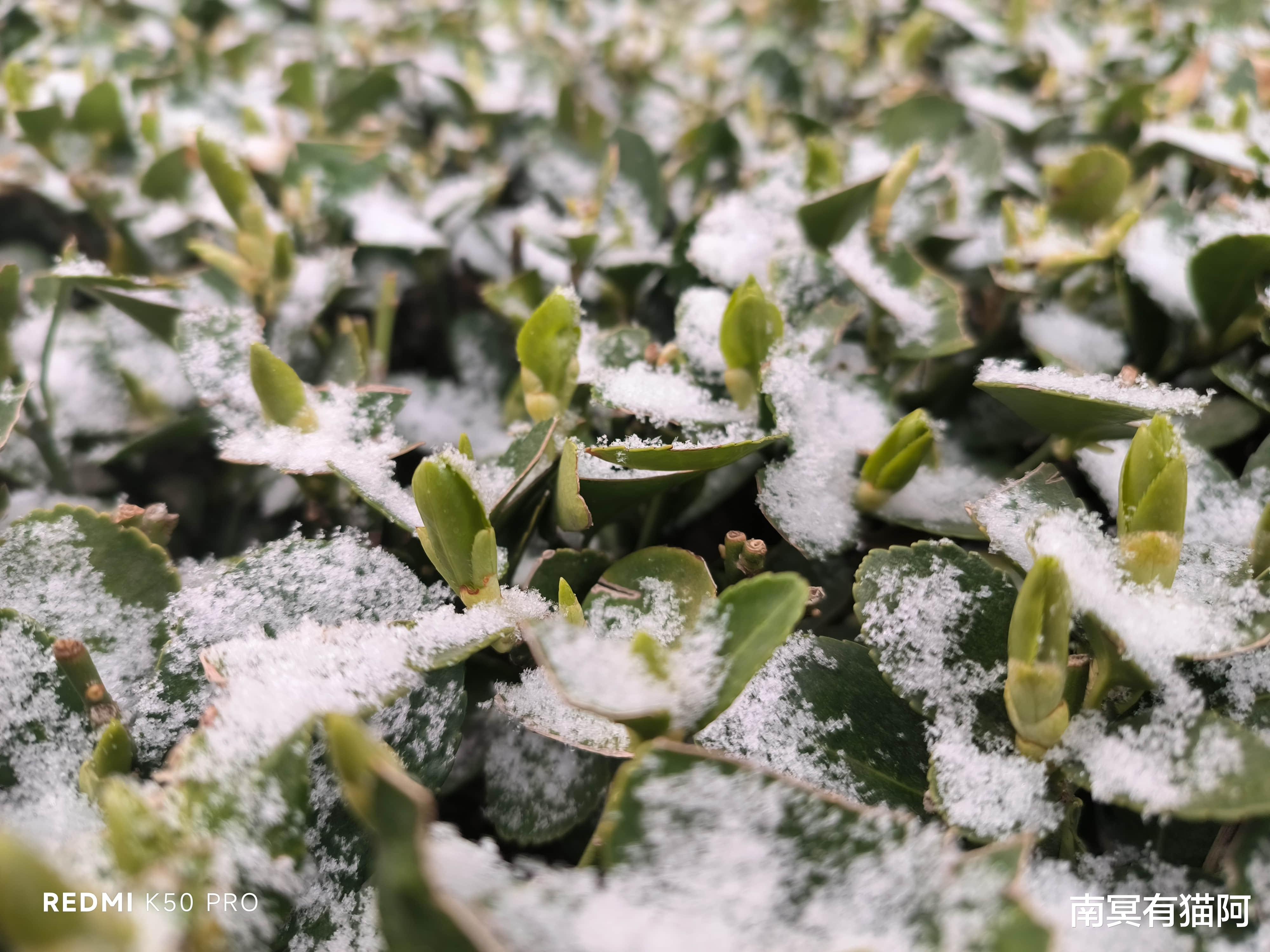 天玑9000|深度体验红米K50 Pro：最妙的不只是天玑9000？