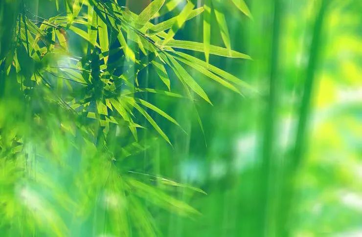|这个夏天，如你所愿！